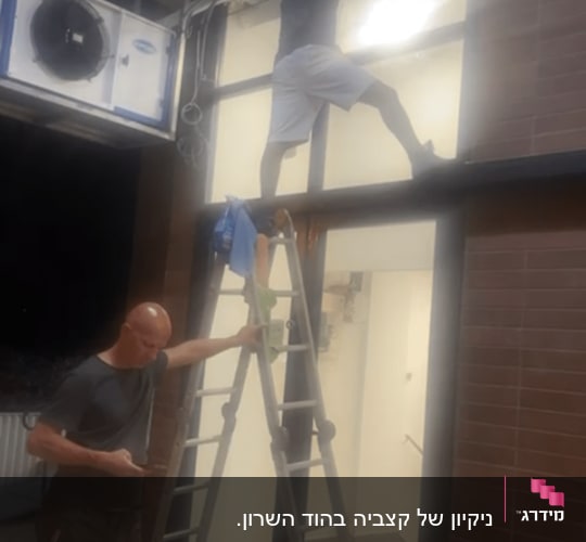 אנשים מנקים חלונות עם סולם ודלי